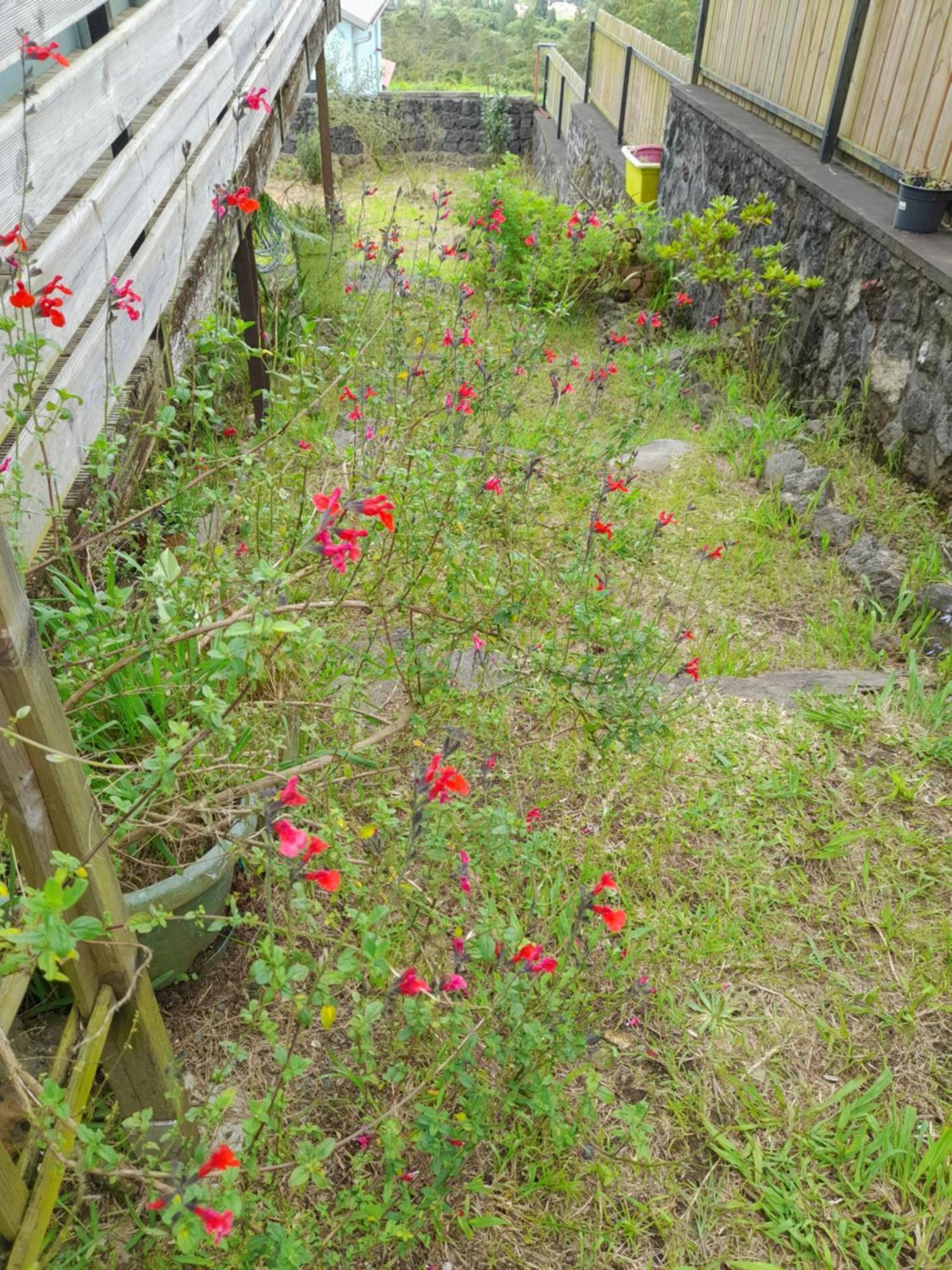 Vila Chez Marie La Plaine des Palmistes Exteriér fotografie