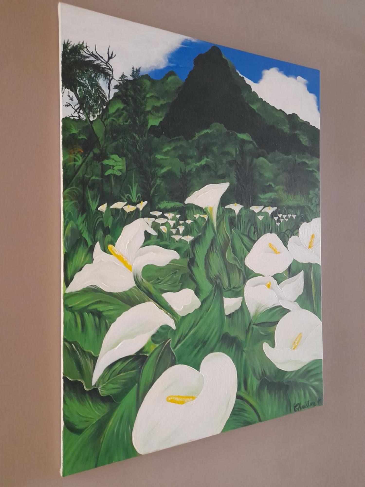 Vila Chez Marie La Plaine des Palmistes Exteriér fotografie
